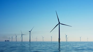 Cient¨ªficos hacen un descubrimiento animal bajo las turbinas e¨®licas marinas: ¡°Es como encontrar una huella dactilar¡±
