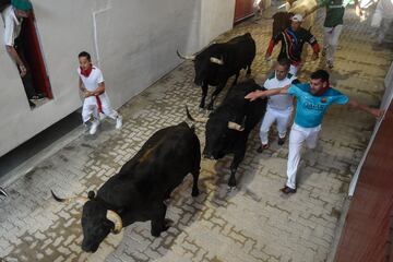 Imágenes del séptimo encierro de los Sanfermines 2022. La ganadería encargada de los toros de este séptimo encierro será la de Victoriano del Río, una de las más importantes del panorama taurino nacional.