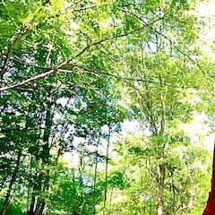 El nuevo ‘tipín’ de Fernando Alonso