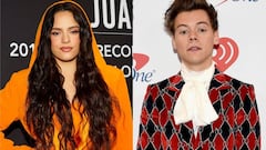 &iexcl;Harry Styles y Rosal&iacute;a juntos! Los m&uacute;sicos podr&iacute;an lanzar sencillo