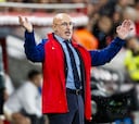De la Fuente: “España es un equipo, con mayúsculas”