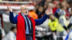 De la Fuente: “España es un equipo, con mayúsculas”