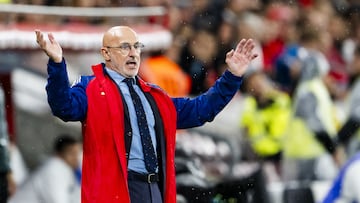 Geneva (Switzerland), 08/09/2024.- Spain's Head coach Luis de la Fuente gestures during the UEFA Nations League group A soccer match between Switzerland and Spain, in Geneva, Switzerland, 08 September 2024. (España, Suiza, Ginebra) EFE/EPA/JEAN-CHRISTOPHE BOTT