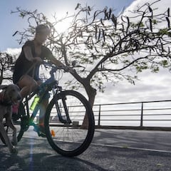 La incoherencia monta en bici