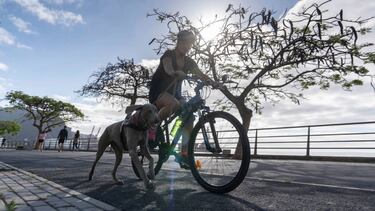GRAFCAN4608. SANTA CRUZ DE TENERIFE, 02/05/2020.- Vecinos de la capital tinerfeña hacen ciclismo en el primer día que se permite la salida a la calle a practicar deporte con restricción horaria. EFE/ Miguel Barreto