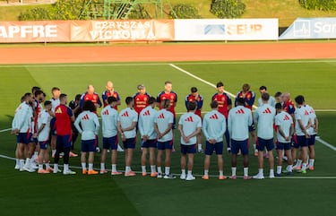 Charla grupal de Luis de la Fuente.