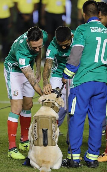 MEX64. SAN LUIS POTOSÍ (MÉXICO), 06/10/2017.- Los jugadores de México Miguel Layun (i) y Javier Aquino (c) juegan con la perra rescatista Frida hoy, viernes 06 de octubre de 2017, antes del partido ante Trinidad y Tobago por las eliminatorias de la Concacaf al Mundial de Rusia 2018, disputado entre México y Trinidad y Tobago en el estadio Alfonso Lastras de la ciudad de San Luis Potosí (México). EFE/José Méndez

