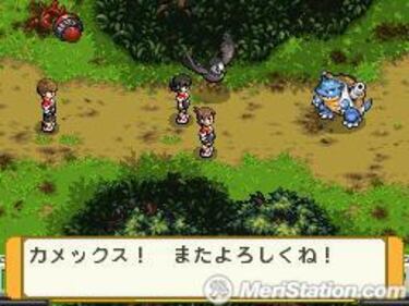 Pokémon Ranger Batonnage, Impresiones