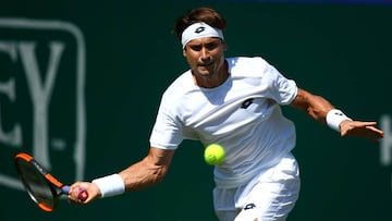 Ferrer sufre una contundente derrota ante Kukushkin