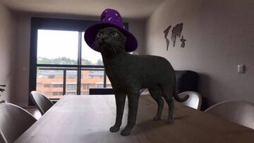 Fantasmas y gatos brujos en 3D en tu casa gracias a Google por Halloween