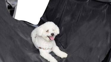 Viajar con mascotas es posible gracias a estos rios