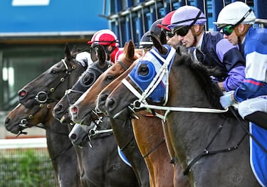 La voz inglesa And they’re off!” es el anuncio de que se acaban de abrir los cajones y los caballos están en carrera. Es un momento repleto de emoción, rebosante de adrenalina. Seguramente, es el único instante en el que todos los participantes están igualados. En la imagen, una salida en Melbourne, en el hipódromo de Caulfield.