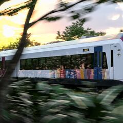 Tren Maya: ¿cuándo será la apertura y cuál será su primer viaje?