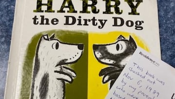 Un niño debía entregar un libro en 1989: décadas después, todo volvió a su lugar tras un viaje por Siria y Japón