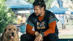 ‘Arthur’, el perro fiel y una aventura extrema que puede acabar en tragedia: así es la nueva película de Mark Wahlberg