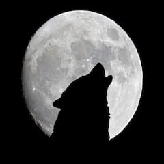Wolf Moon 2025: first full moon, time, meaning, and how to see the full moon in January