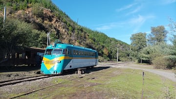 EFE presenta sus nuevos trenes para cubrir la ruta Talca - Constitución: de los más modernos del país