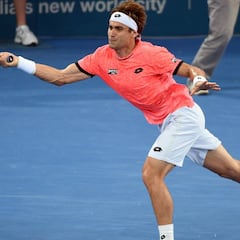 Cilic, Nishikori y Ferrer vuelven en Rotterdam y Buenos Aires