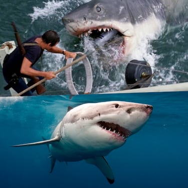 5 películas que exageraron la realidad: estos animales no son tan peligrosos para el humano