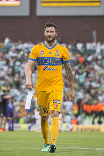 El jugador insignia de Tigres en su época reciente. El atacante francés tendrá juegos en los que no lucirá mucho pero que terminará aportando con goles. El Apertura 2018 será su nuevo reto, pues buscará llevar a Tigres a su quinta final consecutiva en torneos de invierno.