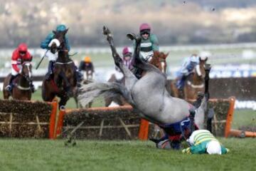 La espectacular caída de un jinete en el Festival de Cheltenham