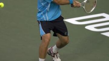 <b>UN HUESO. </b>David Ferrer se tuvo que emplear ante Ljubicic.