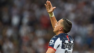 Rayados de Monterrey – Pumas en vivo: Liga MX, jornada 7
