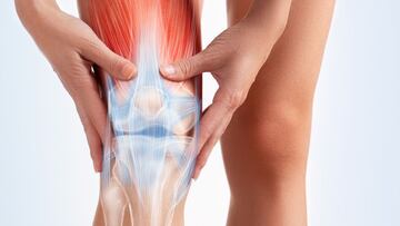 ¿Tienes dolor de rodilla y 30 años de edad?, tu cartílago se esta deteriorando por esta razón
