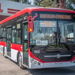 Rancagua revoluciona el sistema de transporte con una de las flotas de buses más modernas de Chile