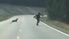 Un peque&ntilde;o ciervo se dirije contra un longboarder en una carretera. 