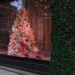 Científicos británicos proponen posponer las celebraciones de Navidad hasta el verano