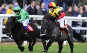 The Shetland Pony Gold Cup