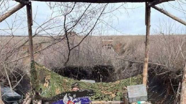 Rusia utilizará burros para transportar munición