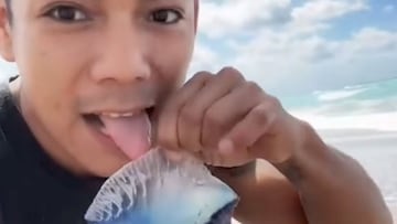 Un chico lame una carabela portuguesa en la playa, con las olas de fondo. 