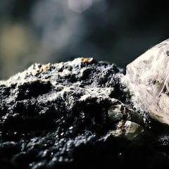 Encuentran un ‘diamante de paz’ de 5 millones de euros, lo entregan a las autoridades y sólo se llevan 67.000 euros