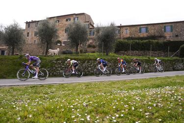 El pelotón durante la carrera.