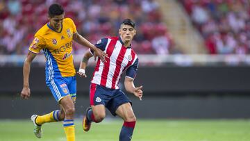 Cómo y dónde ver el Tigres vs Chivas; horario y TV online