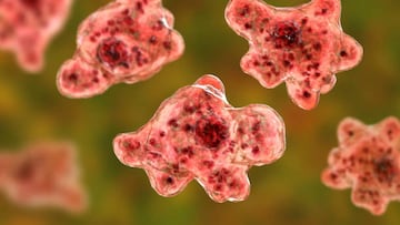 Cases of Naegleria Fowleri infection are incredibly rare but the CDC has issued guidance to keep safe when swimming in warm freshwater.