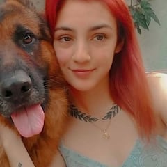 Lara Arreguiz, la joven que falleció de COVID sin una cama disponible