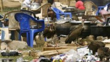 <b>CARROÑEROS. </b>Los aficionados de Costa de Marfil que han levantado un campamento en Takoradi tienen que proteger los alimentos para que los numerosos buitres presentes en la zona no les dejen sin comida.