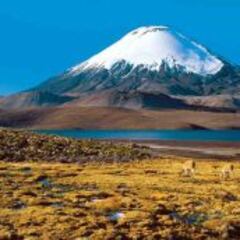 El volcán más alto del mundo