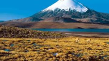 El volc&aacute;n nevado Ojos del Salado, donde est&aacute;n retenidos los dos monta&ntilde;eros vascos.