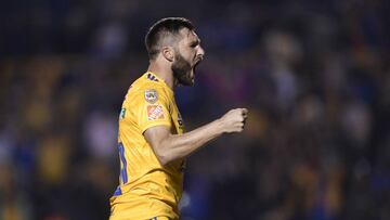 MONTERREY, MEXICO - OCTOBER 26: Andre-Pierre Gignac, #10 of Tigres, celebrates after scoring his team&#039;s first goal during the 15th round match between Tigres UANL and Cruz Azul as part of the Torneo Apertura 2019 Liga MX at Universitario Stadium on October 26, 2019 in Monterrey, Mexico. (Photo by Azael Rodriguez/Getty Images)