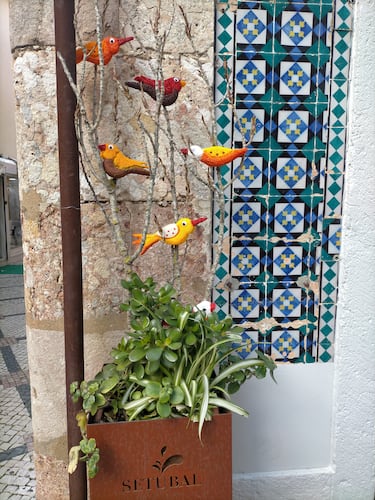 Del tradicional azul y blanco a cualquier gama cromática para decorar las zonas comerciales.