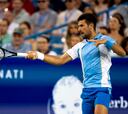 Djokovic no falla y peleará por el título con Alcaraz