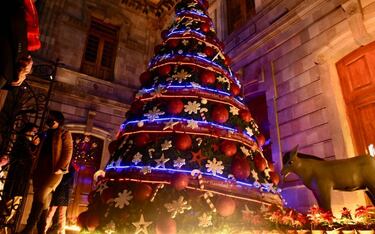 El verdadero origen del árbol de Navidad y la historia de cómo se adoptó en México 