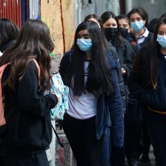 Becas TIC: ¿cuáles son los requisitos para postular y cómo hacerlo?