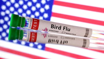 FILE PHOTO: Test tube is seen labelled "Bird Flu" in front of the U.S. flag in this illustration taken, June 10, 2024. REUTERS/Dado Ruvic/Illustration/File Photo