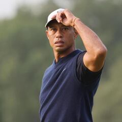 Tiger Woods titles: what championships has he won?