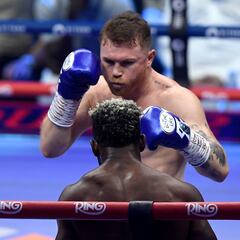 El increíble palmarés de Canelo Álvarez, orgullo mexicano: todos los títulos que ha ganado en su carrera